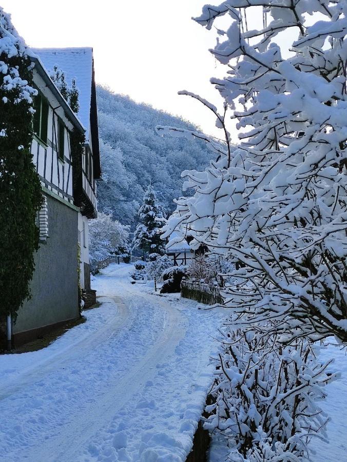 Ferienwohnung 'Unter Der Burg' Brodenbach Esterno foto